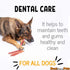 Best For My Pets Tripe Sticks for Dogs, 5-Inch, 6-Ounce, All-Natural Rawhide-Free Dog Treats