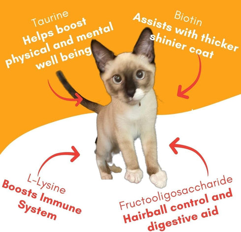 Lickable Cat Treat Pouches for Indoor Cats - All Natural Chicken Puree Tube Treats, 12 Tubes .05 oz ea.