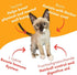 Lickable Cat Treat Pouches for Indoor Cats - All Natural Chicken Puree Tube Treats, 12 Tubes .05 oz ea.
