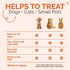 Vet-Recommended (2oz) Hot Spot & Itch Relief Skin Cream for Dogs & Cats | Fast & Lasting Relief | Treats the Source |