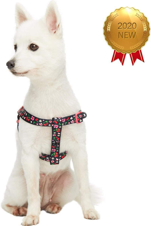 Blueberry Pet Step-in Cherry Garden Black Dog Harness, Chest Girth 20" - 26", Medium, Adjustable Harnesses