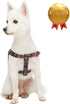 Blueberry Pet Step-in Cherry Garden Black Dog Harness, Chest Girth 20" - 26", Medium, Adjustable Harnesses