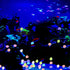 Abnaok 600PCS Glow in The Dark Rocks for Aquarium Decoration, Outdoor Decor, Garden Lawn Yard, Walkway, Driveway