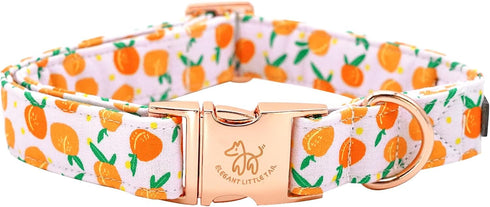Elegant little tail Easter Dog Collar, Adjustable Peach Print for Small Dogs, Orange Collar for Girl or Boy