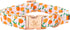 Elegant little tail Easter Dog Collar, Adjustable Peach Print for Small Dogs, Orange Collar for Girl or Boy