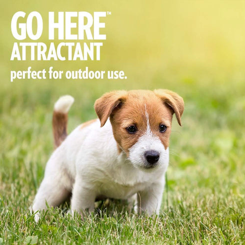OUT! PetCare Go Here Attractant Indoor and Outdoor Dog Training Spray, 32 oz, House-Training Aid