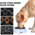 Slow Feeder Dog Bowls Insert - Animire Soft Silicone Anti-Choking Puzzle Feeder, Compatible with Elevated Dog Bowls