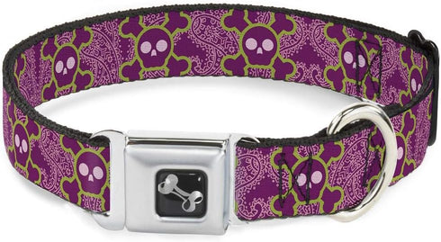 Buckle-Down Seatbelt Buckle Dog Collar - Large Cute Skulls w/Paisley Purple/Pink/Green, 1" Wide, Fits 15-26" Neck