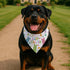 YJIKRTVT Easter Dog Bandanas, Happy Easter Bunny Pet Scarf, Adjustable Triangle Bib for Small Medium Dogs, Cute Easter