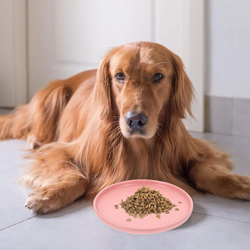 Ceramic Pet Bowl Cat Food Water Bowl Shallow Cat Dish Whisker Fatigue Cute Pet Plate Feeding Container for Dogs Rabbits Animal