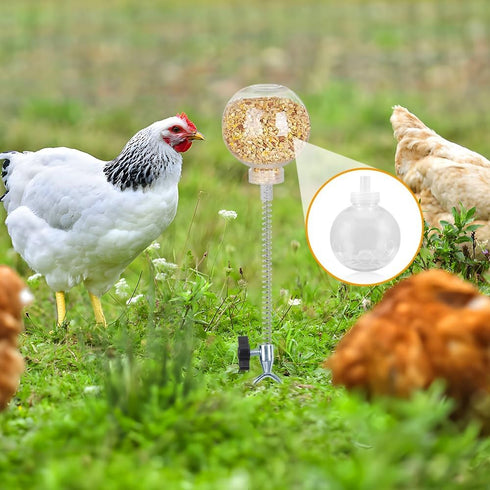 Kalekey 4 Pack 11" Chicken Feeding Toy, Chicken Enrichment Toys with Spring and Metal Ground Stake, Chicken Treat