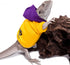 WATFOON Bearded Dragon Clothes Tank Accessories Costume Handmade Warm Coat Jacket for Small Animals (Purple/Yellow)