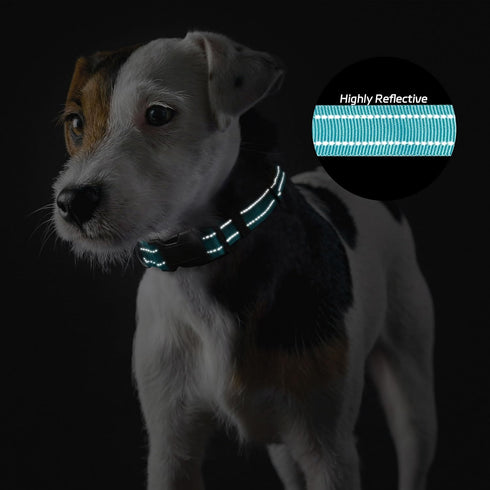 Dog Collar with Buckle, Breathable Nylon Reflective Adjustable Collars for Small, Medium, Large Dogs (Sky Blue/Large)