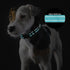 Dog Collar with Buckle, Breathable Nylon Reflective Adjustable Collars for Small, Medium, Large Dogs (Sky Blue/Large)