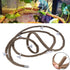 Hamiledyi 9.8FT Lizard Climbing Jungle Vines, Bendable Artificial Branch Reptile Tank Habitat Decor for Bearded Dragon,