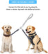 Dog Seat Belt for Bike Basket, Retractable Elastic Safety Leash Harness for Cat and Dog, Grey