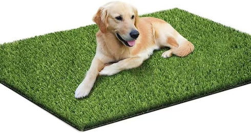 Xydsjjiao 28" 35" x Large Grass Pad for Dogs Potty, Artificial Grass, Soft Fresh Dog Potty Training Rug, Dog Pee Pad