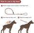 Strong Slip Rope Dog Training Leash 4ft, Heavy Duty Braided Nylon Lead with Padded Handle for Medium Large Dogs