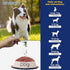Seven777 Pet Dental Powder,Teeth Cleaning Powder for Dogs and Cats, Plaque & Bad Breath Off,Dental Care Supplies