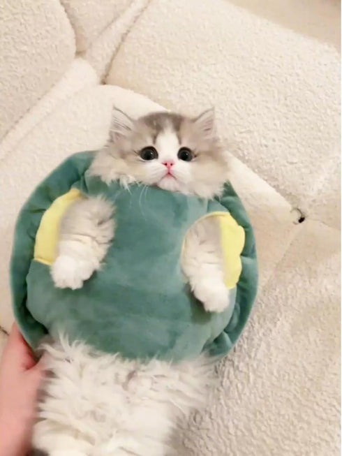 Cute Cat Costumes Turtle Shell Kawaii Kitten Clothes, Dog Puppy Vest Pet Apparel (Small, Turtle Shell)