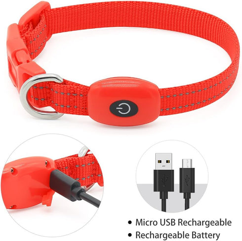 Light Up Dog Collar for Small Dogs, Vizpet XS Adjustable Nylon Collar, USB Rechargeable Bright Safety Pet Collar for