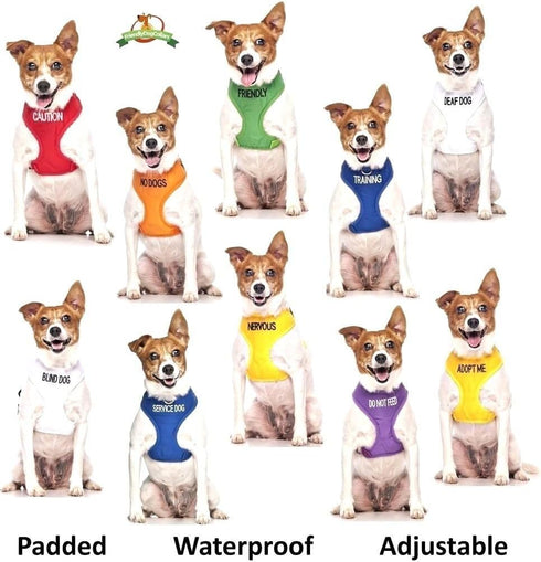 Friendly Green Colour Coded Non Pull Dog Harness - L-XL, Prevents Accidents by Warning Others