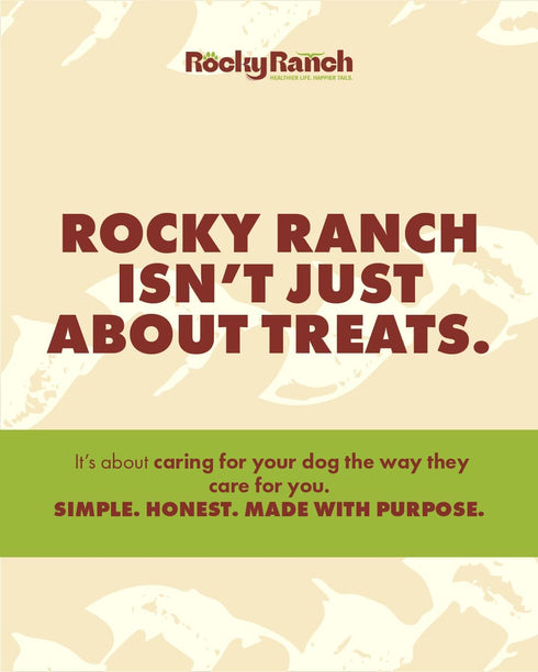 6" 3.53 oz, 6 Count. Rocky Ranch, Dog Bully Sticks, Beef Flavor, Adult Dog, Natural Chew Treats, Dental Care, High