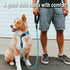 COOYOO Dog Leash 5/6 FT - Comfortable Padded Handle with Highly Reflective Threads for Small Medium and Large Dogs