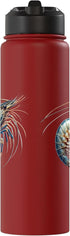 Shrimp Men Women Shrimp Design Stainless Steel Insulated Water Bottle