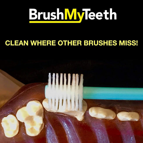 Small Dog Toothbrush, Rounded Brush Head with Soft Flexible Bristles for Gentle Brushing, Multicolor