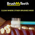 Small Dog Toothbrush, Rounded Brush Head with Soft Flexible Bristles for Gentle Brushing, Multicolor