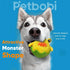 Petbobi Interactive Dog Toys Monster Active Ball - Battery Operated Squeaky Moving Balls for Small Medium Dogs