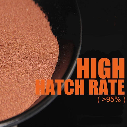 90% (4 OZ) Brine Shrimp Eggs for Aquatic Foods Baby & Fry Foods The Popular Hatch GSL Brine Shrimp Eggs