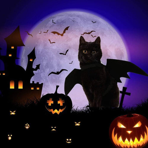Cat Halloween Costume with Bat Wings, Pet Apparel for Halloween Party Dress Up for Cats and Small Dogs
