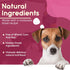 Girl Happy Birthday Dog Bone | Molasses Based Recipe with Human Grade Ingredients Wheat, Corn, and Soy Free | 100% Made in USA Edible Dog Bone for Dogs Birthday