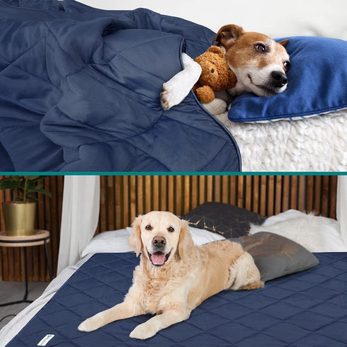 PetAmi Premium Cooling Dog Blanket, Lightweight Fluffy Pet Throw Bed Cover for Dogs, Reversible Fuzzy Cozy 40x60