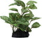 2 Piece Realistic Faux Silk Aquarium Ficus Tree, Small Betta Fish Tank Grass Fake Plastic Decorations