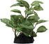 2 Piece Realistic Faux Silk Aquarium Ficus Tree, Small Betta Fish Tank Grass Fake Plastic Decorations