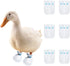 MANON ROSA Duck Shoes for Real Ducks Chickens 10-Pair Waterproof & Disposable