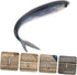 1 3D OSALADI Pair Soft Bionic Flying Fish Lures, PVC Reusable Sinking Artificial Bait for Saltwater Sea Fishing