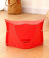 LAYXLDZ Backpacking Folding Portable Camping Hiking Stool Lightweight and Foldable Chair for Travel Gathering BBQ