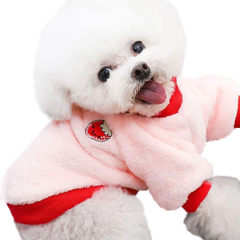 Puppy Dog Clothes Winter Sweater in Medium Strawberry, Flannel Velvet Pet Cat Cute Fruit Fleece for Small Dogs
