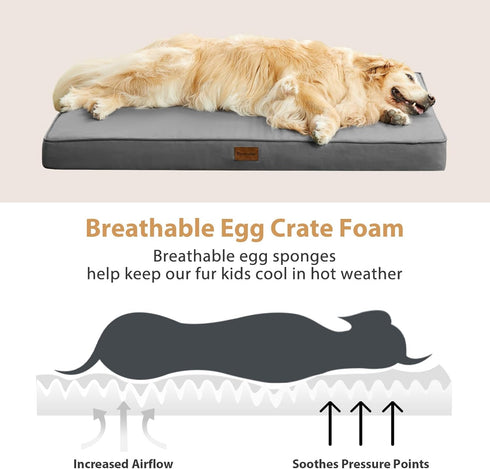 BFPETHOME Outdoor Dog Beds for Large Dogs, Orthopedic Bed with Removable Washable Cover, Egg Crate Foam, 30 x 20in,