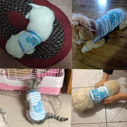 ANIAC Cute Rabbit Pet Costume, Soft Bunny Vest T-Shirt for Kitten, Ferret, Chihuahua, Puppy (XS, Blue Wooden Horse)
