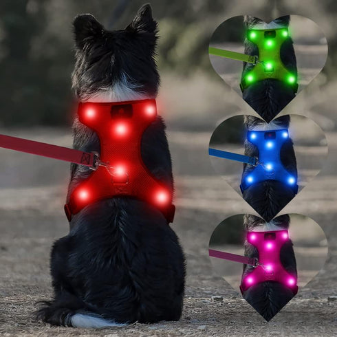 Light Up Dog Harness - Rechargeable LED Vest, No-Pull Glowing Safety Pet Harness for Night Walking & Camping (Red,