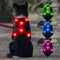 Light Up Dog Harness - Rechargeable LED Vest, No-Pull Glowing Safety Pet Harness for Night Walking & Camping (Red,