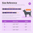 Adjustable Dog Collar with Buckle for Cute Girl and Boy Dogs, Soft and Fancy with Flower Design for Small, Medium, and