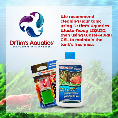 DrTim’s Aquatics Freshwater Waste-Away Gel - Natural Cleaner for Shrimp Aquariums, Treats 10 gal, Small Pack