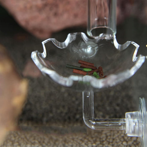 Bilindasly Acrylic Shrimp Feeding Dish, Floral Shrimp Bowl with Suction Cup for Aquarium Fish Tank