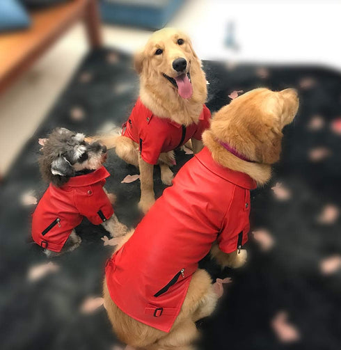 Lovelonglong Cool Dog Leather Jacket, Warm Windproof Coats for Large Medium Small Dogs, Red XXL